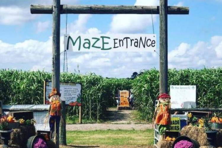 A maze entrance at a farm in St. Augustine